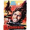 Koch Escondido - Mediabook - Cover A (+ DVD)