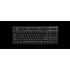 Realforce Tastiera REALFORCE R3SD11 US ANSI Actuation Force 45g Tenkeyless Quiet Black JP