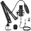 Microfono a Condensatore, Microfono Professionale Cardioid XLR Con Braccio, Supp