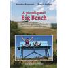 Graphot Libro - Annalisa Porporato / Franco Voglino - A Piccoli Passi Big Bench. 50 Panc