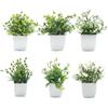 QINGYIWL 6 Pezzi Piantine Finte Piccolo Succulente Finto Plastica Pianta Finta in Vaso Finta erba verde in vaso di plastica Piante Artificiali In Plastica Adatto per decorazione di interni