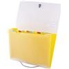 D.RECT 5540 Cartellina portadocumenti espandibile, 12 scomparti, formato A4, giallo, 110578