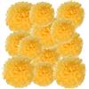 PATIKIL 20cm 24cm 30cm Pompon Carta Velina, 12Pz Palline Fiori di Carta Pom Poms Dimensioni Assortite per Decorazioni Sfondo per Matrimoni Addio Nubilato Feste Compleanno, Giallo