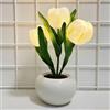 HUIKUANGEU Lampada da Tavolo a LED a Forma di Fiore,Lampada a Tulipani,Lampada Tulipani,Romance Tulipani Night Light,Luce Notturna A Led con Tulipani,per Camera da Letto,Decorazione Domestica