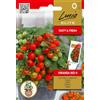 Lucia Elite | Semi di pomodoro Veranda Red H | Semi di ortaggi | Semi di pomodoro | Semi da giardino | Un precoce, di breve statura | Una pianta può produrre da 60 a 75 frutti | 1 confezione
