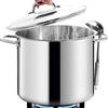 HOMICHEF Pentola Grande di Qualità Professionale con Coperchio in Vetro (31 cm, 18,9 Litri) - Pentola per Minestra in Acciaio Inossidabile Senza Nichel, Resistente, con Coperchio