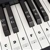 Fansjoy Adesivi per Tastiera di Pianoforte per 37, 49, 54, 61, 88 Tasti, Piano e Tastiera Music Note Adesivi per Bianco e Nero Chiavi, Trasparente e Rimovibile, Perfetto per Bambini e Principianti