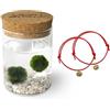 KAKI La Felicità è Nelle Piccole Cose Marimo Original Felicità coppia (fondale bianco) + Braccialetti Filo Rosso del Destino (coppia ORO, Idee regalo San Valentino