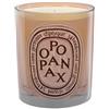 DIPTYQUE Ambre Candela 300gr