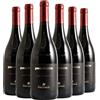 Cantine Nicosia Terre Siciliane IGT Passicato 2024 Box da 6 bottiglie