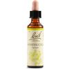SCHWABE PHARMA ITALIA Srl BACH 16 Honey Suckle 20ml LKR