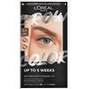 L'OREAL ITALIA SpA DIV. CPD L'OREAL PARIS BROW COL 4 LBRUN