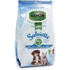 Camon Salviette Detergenti 100 Pezzi Muschio Bianco & Aloe