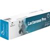 Lactanase pro siringa pasta orale per cavalli 50 g