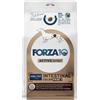 forza10 Forza 10 active intestinal colon fase i dogmi&t adult pesce dry 1,5 kg