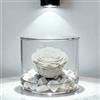 Premium-rose.com OneFlower by Premium Rose Box Tondo con Rosa Bianca Stabilizzata e Marmo di Carrara, Idea Regalo Unica e Raffinata, Idea Regalo per lei, Natale, Cubo Rosa Bianca, Fatta in Italia (Bianca 1098)