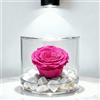 Premium-rose.com Box tondo con Rosa fucsia Stabilizzata e Marmo di Carrara, Idea Regalo Unica e Raffinata, Idea regalo per lei, Natale, Cubo Rosa fucsia, Fatta in Italia (Fucsia 1092)