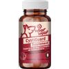 Woof woof wellness cystiguard supplement sistema urinario cani e gatti 75 compresse