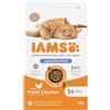 Iams Secco Gatto Adulto Light Sterilizzato Pollo 3 kg