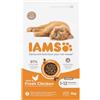 Iams Secco Gatto Kitten Pollo 3 kg