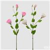 EDG Enzo De Gasperi Lisiantus Ramo con Foglie Ass. H 71 Cm D 10 Cm Pianta Artificiale Colore Bianco o Rosa1 Pz