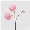 EDG Enzo De Gasperi Peonia Ramo x3 con H 67 Cm Pianta Artificiale Colore Rosa Scuro