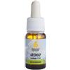 MAP ITALIA Srl AROMAP OLIO 10ML