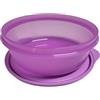 Tupperware Ciotola Estiva con Coperchio, a Tenuta Stagna, 600 ml, Viola