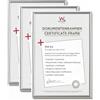 walther design Galeria KG130H3 - Cornice portafoto in plastica, 21 x 29,7 cm, confezione da 3, formato DIN A4, argento
