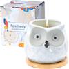 Fpathway Incantevole candela profumata a forma di gufo, regalo per lei: lussuose candele per aromaterapia, regali di compleanno unici per donne, regali rilassanti per donne, ideali per moglie, madre