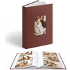 Vienrose Album Fotografico 6x4, Copertina in Ecopelle con Finestra e Spazio per Scrivere 300 Tasche a Inserto, Regalo per Matrimonio, Anniversario, Battesimo, Libro Ricordi Foto di Famiglia, Marrone