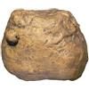 Exo Terra Exoterra - Distributore di insetti Feeding Rock per rettili e anfibi 12 x 10 x 4,5 cm