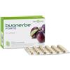 BIOS LINE Buonerbe Forte Compresse, Integratore Alimentare, Favorisce la Regolarità Intestinale e Risveglia Intestino Pigro, Senza Glutine e Adatto a Vegani (90 unità (Confezione da 1))