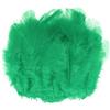 M METERXITY 100 Pezzi Piume Sella Gallo 1.6-3 Pollici / 4-8cm Piume Naturali Morbide per Creazioni/Matrimoni/Acchiappasogni/Decorazioni Fai da Te [Verde Prato]