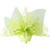 Ingrosso e Risparmio 25PZ Sacchettino Bomboniera in Rete con Velo in Organza e Tiranti Colori Assortiti Eventi Comunione Cresima Matrimonio Nascita Fai da Te (Verde)