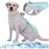 Kuoser Gilet Rinfrescante per Cani, Gilet di Raffreddamento Evaporativo per Cani, Giacca Traspirante di Raffreddamento per Animali Domestici, Ideale per Attività All'aperto durante l'Estate