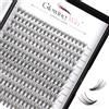 Glowing Win Ciglia Finte Ciuffetti Naturali Extension Ciglia fai da te 0.07D 20D 8-15mm 228PCS Singole Ciglia Professionale Individual Cluster Lashes Extensions Riutilizzabili Cat Eye Eyelashes