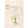 ONDO BEAUTY Mask Adenosine & Zhi Mu Lifting 25ml - Maschera Anti-età viso