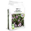 Hamiform Fieno di Luserna 20 L