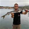 AKAMI WILD 140 - COLORE OVR, PESO (GR) 16, LUNGHEZZA (MM) 140