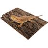 Supvox Rettili Corteccia di Corteccia di Sughero Sfondo 11.81X7.87X0.59In Terrario Decorazione Rettili Fornitura Naturale Corteccia di Albero Piastra per Tartarughe E Arrampicata