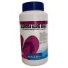 PISCINA SEMPLICE ALGHICIDA ALGHE GIALLE 1KG