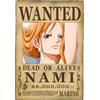 Il Nuovo Mondo ONE PIECE - Wanted Nami
