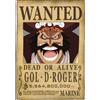 Il Nuovo Mondo ONE PIECE - Wanted Gol D. Roger