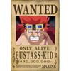 Il Nuovo Mondo ONE PIECE - Wanted Eustass Kid
