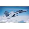 Hobby Boss: EA-18G Growler in 1:48 [3485814]