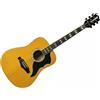 EKO Ranger VI VR Natural Top Stained Chitarra acustica Ranger VI VR Natural T...