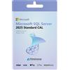 Microsoft Windows SQL Server 2025 Standard CAL