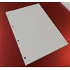 Organize You 100 Fogli (200 Pagine) con 4 buchi in Formato A4 20,5 x 29,2 cm. per