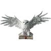 AnticaPorta Edvige Gufo messaggero Harry Potter da parete con pergamena 49 cm Nemesis Now